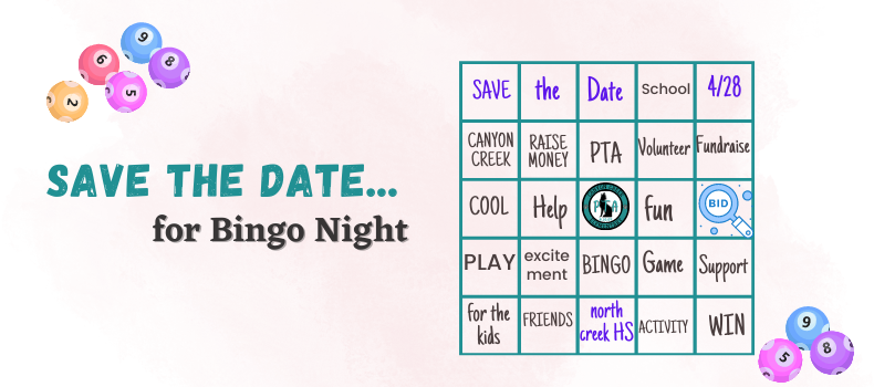 Bingo Night with image of bingo card and balls